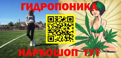 PSILOCYBIN Северобайкальск