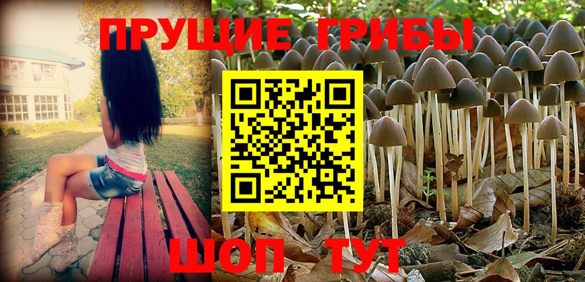 Галлюциногенные грибы ЛСД Свободный
